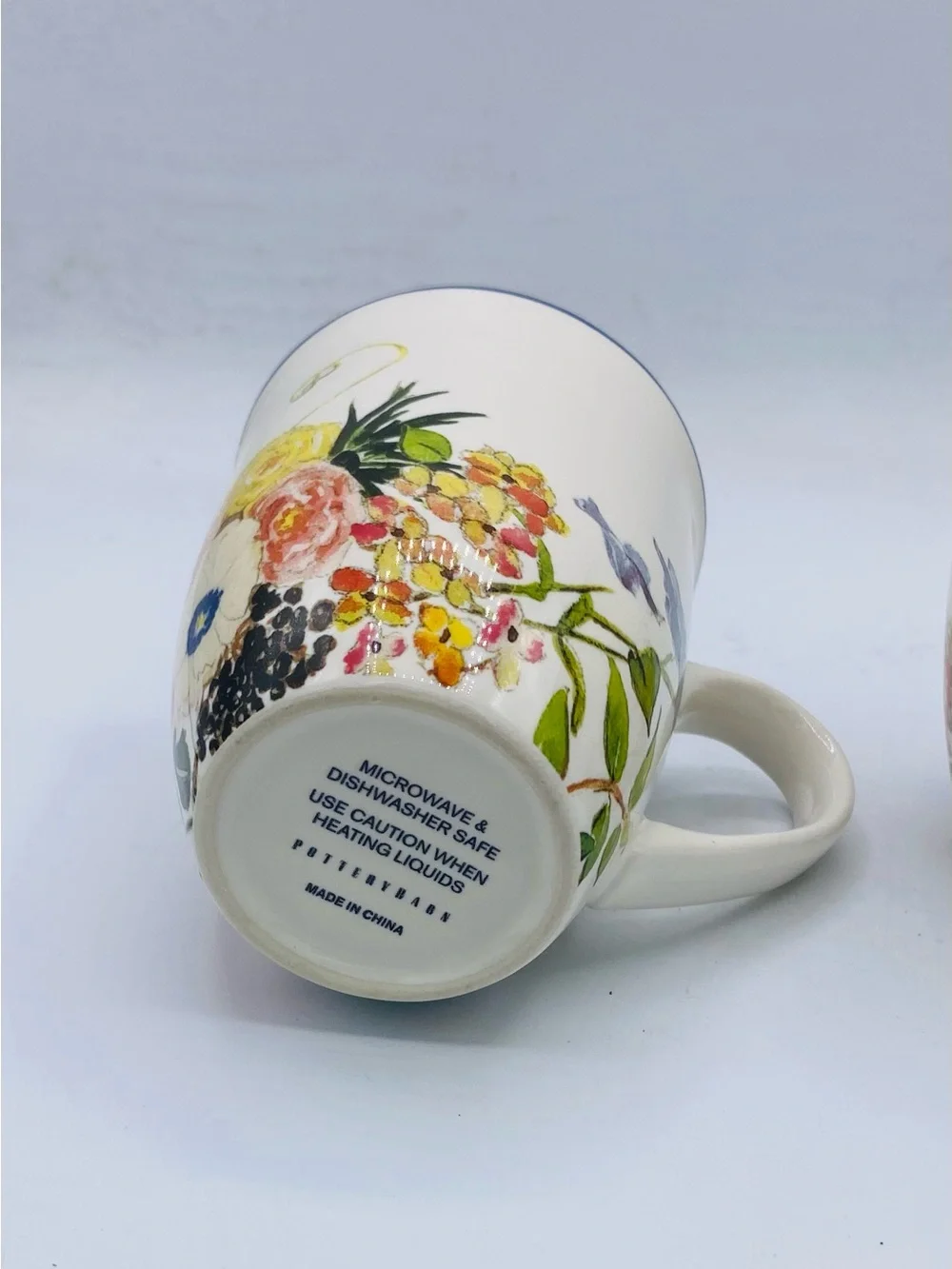 Pottery Barn China Floral Rim Collection Set of 2 Discontinued